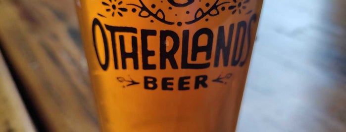 Otherlands Beer is one of Tempat yang Disukai Mirek.