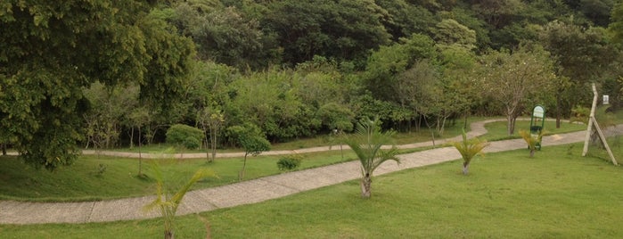 Parque Botânico Eloy Chaves is one of Parques de Jundiaí.