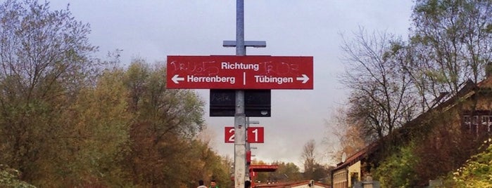 Westbahnhof Tübingen is one of Public Transportation.