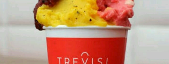 Trevisi il Gelato is one of Diana's Saved Places.