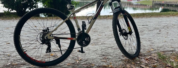 Bedok Reservoir Park is one of Berlin Wall All Over and Over....