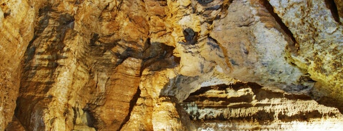 Grotta della vipera is one of Cosa vedere a Cagliari.