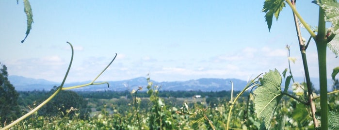 Fog Crest Vineyard is one of Locais curtidos por Thomas.