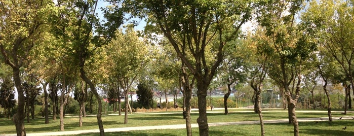 Anadolu Parkı is one of Gül: сохраненные места.