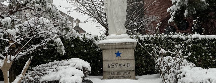 Myeongdong Cathedral Statue is one of Korea 2019.