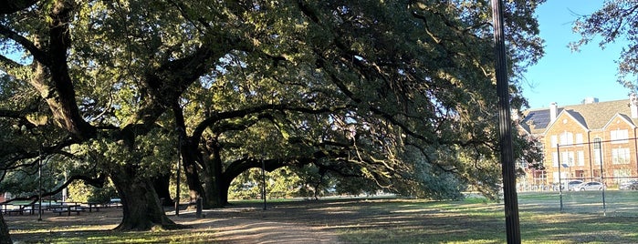 Elizabeth Baldwin Park is one of Parks: Houston.