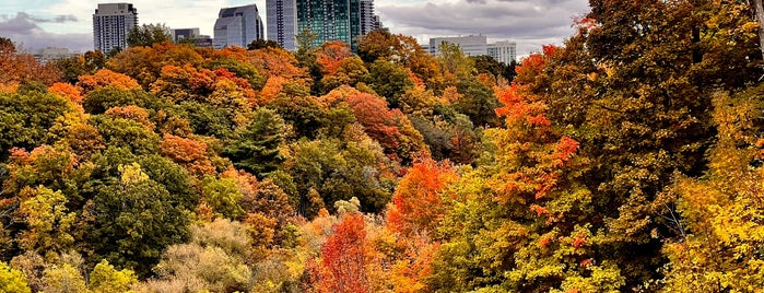 Earl Bales Park is one of 🇨🇦 أماكن تستحق الزيارة Toronto 🇨🇦.