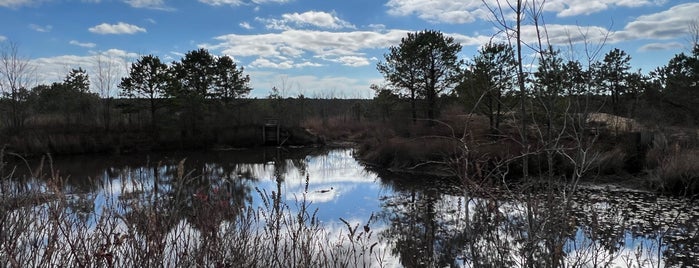 Franklin Parker Preserve is one of NJ Outdoors.