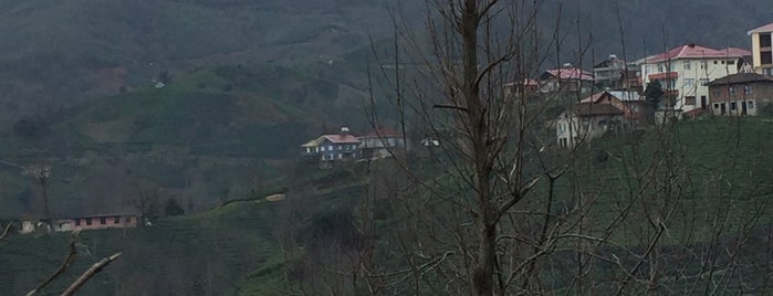 Tütüncüler Köyü is one of Places.