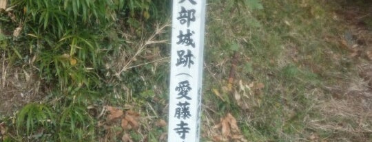 愛藤寺城址 is one of 熊本近辺の城（わりとおすすめ）.