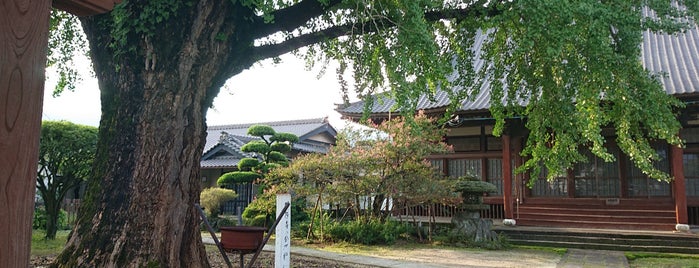 霊芝山明行寺 is one of 熊本探訪.