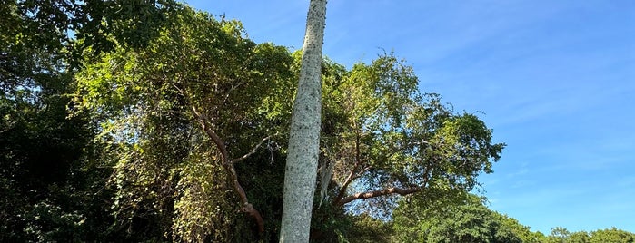 Royal Palm Visitor Center is one of Florida.