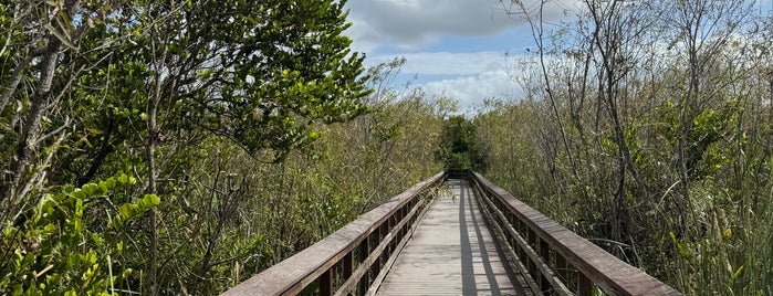 Bobcat Boardwalk Trail is one of Someday... (The South).