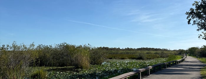 Anhinga Trail is one of Krzysztofさんのお気に入りスポット.