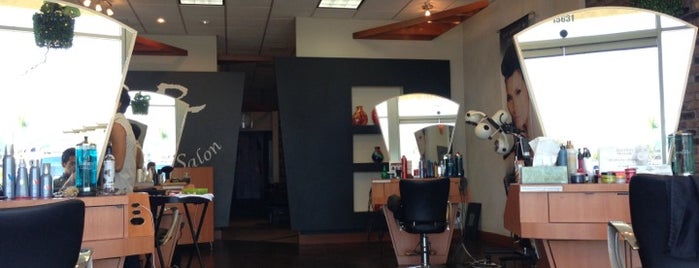Le Brian Salon is one of Salons we love!.