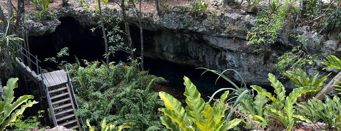 Dream Gate Cenote is one of 🌴Tulum🌴.