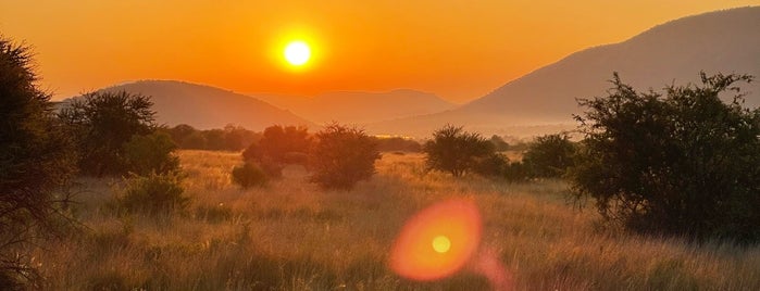 Pilanesberg National Park is one of África do Sul 🇿🇦.