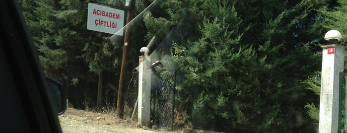 Çınarlı Bahçe Acıbadem