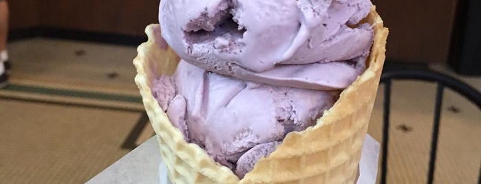Ellen's Homemade Ice Cream is one of America's Best Ice Cream Shops.