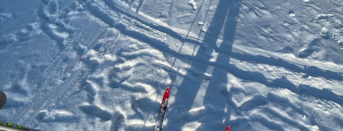 Zorkiy Ski Stadium is one of Куда пойти с грудничком в Москве?.