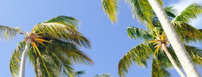 Barceló Bávaro Beach is one of Orte, die imnts gefallen.