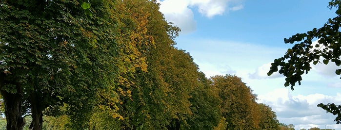 Llandaff Fields is one of Cardiff.