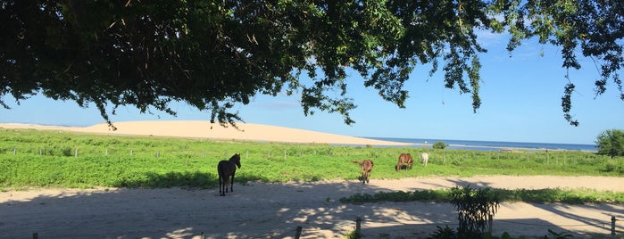 Pousada Agapanthus is one of Nordeste de Brasil - 1.