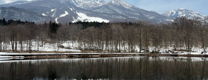 いもり池 is one of 観光地.