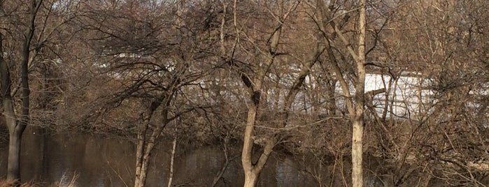 River Park soccer field is one of North Park To Do.