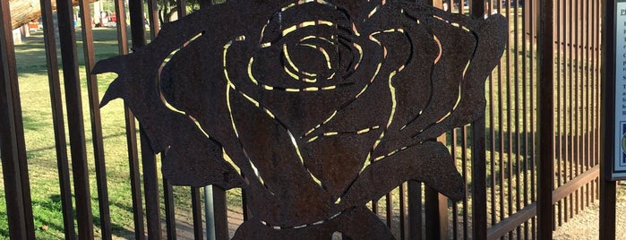 Reid Park Rose Garden is one of Tucson.