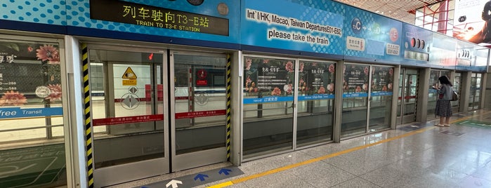Tramway to T3-E (Int'l Departures) is one of Quick Check-in at Beijing Int'l Airport.