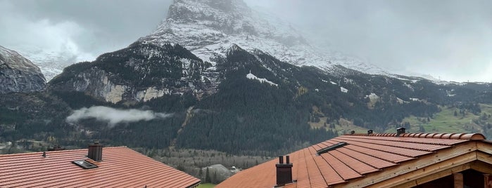 Bergwelt Grindelwald is one of Antonia : понравившиеся места.