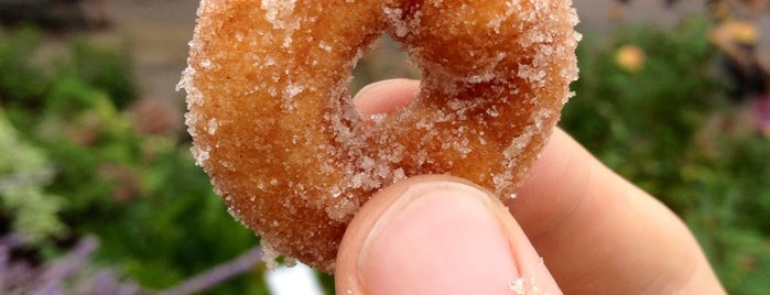 Tom Thumb Mini Donuts is one of Ali's Personal MN State Fair List.