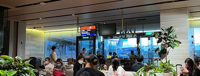 Gate D33 is one of SIN Airport Gates.