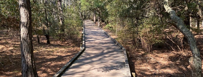 Currituck Banks Estuarine Research Reserve is one of Outer Banks.