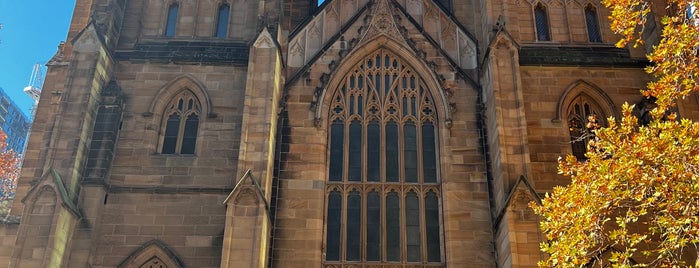 St Andrew's Cathedral is one of sydney.