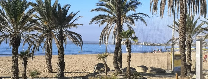 Playa de Roses is one of Costa brava.
