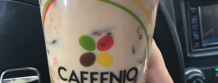 CAFFENIO Chihuahua