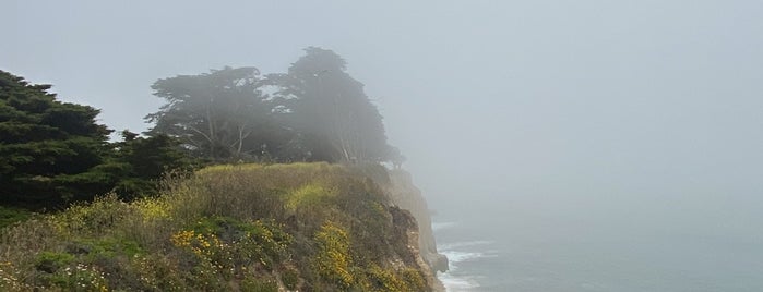 Davenport Bluffs is one of HWY1: SF to Davenport.