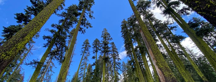 Ellis Peak Trails is one of Lake Tahoe.