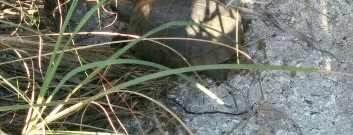 Barefoot Beach State Preserve is one of Fort Myers Beach and Sanibel.