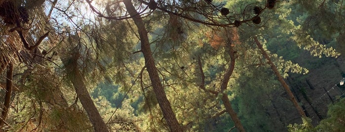 Fethiye Adventure Park is one of Murat'ın Beğendiği Mekanlar.