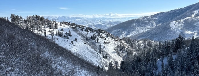 Shortcut Lift is one of Canyons.