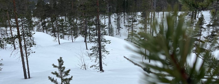 Saariselkä is one of Winter bucketlist!.