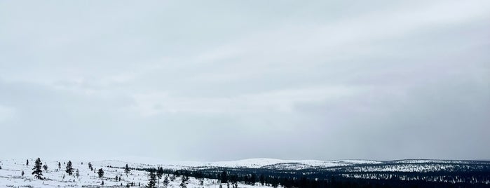 Urho Kekkosen kansallispuisto is one of Now.