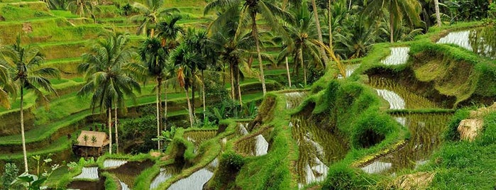 Bali Travelo - Private Driver & Tour Guide in Bali is one of travel.