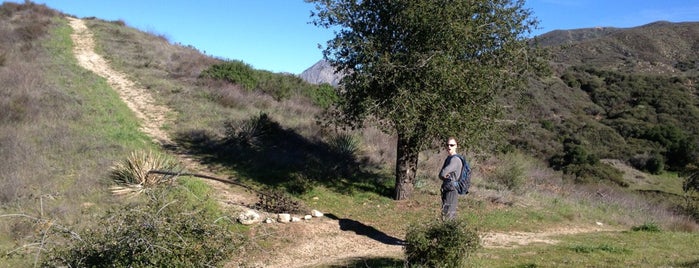 Hikes in the San Gabriels