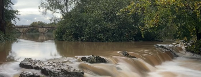 Clumber Park is one of Walks.