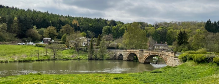 Kirkham Priory is one of York.