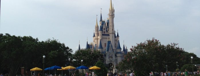 Cinderella Castle is one of WdW Magic Kingdom.